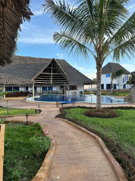 A family house in Zanzibar with a swimming pool and a palm tree in the garden.