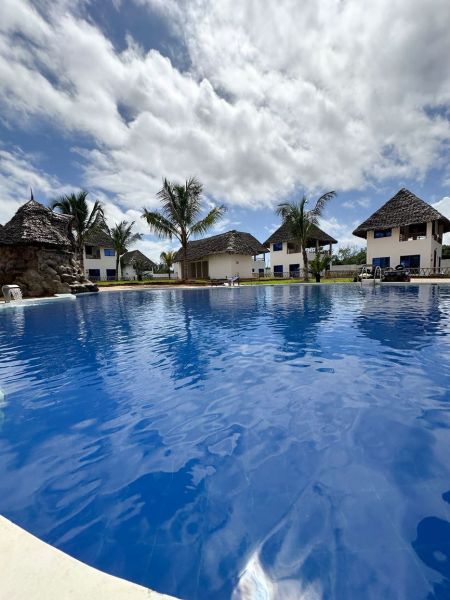 A garden by family houses in Zanzibar surrounded by palm trees.