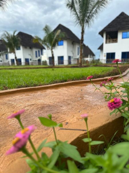 Houses in Zanzibar surrounded by palm trees and colorful flowers in the garden.