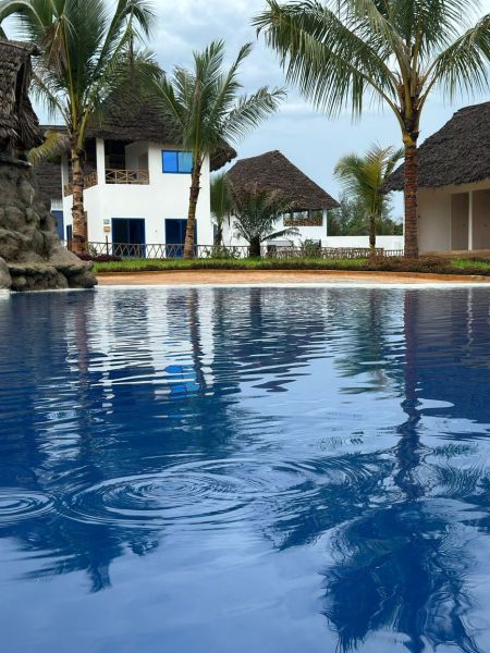 A family house in Zanzibar surrounded by palm trees with a pool in the foreground.