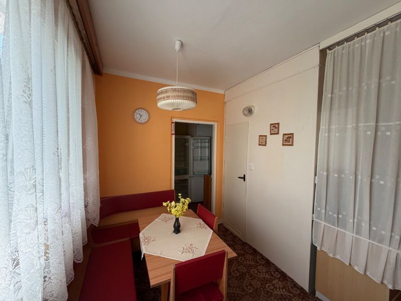 A kitchen in a 2-room apartment with an orange wall, a carpet, and lace curtains.