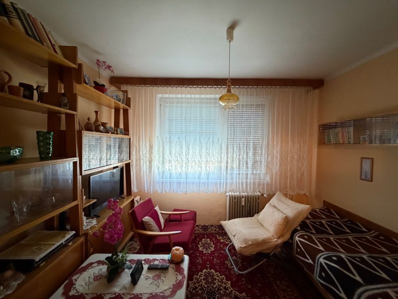 Living room in a two-room apartment with shelves, armchairs, and a window with white curtains.