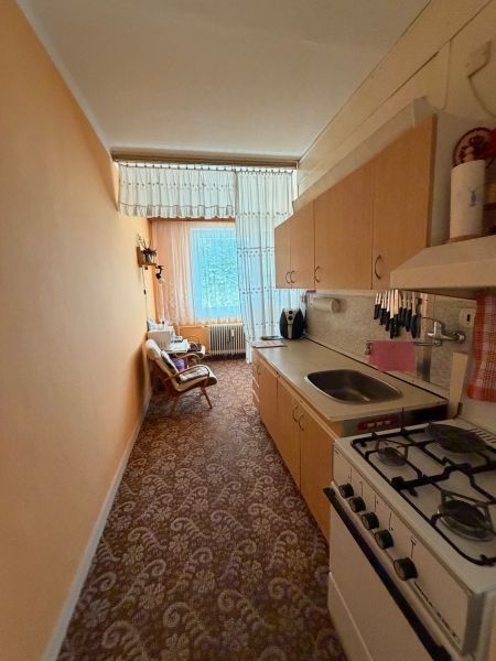 A narrow kitchen in a two-room apartment with a gas stove and a floral pattern on the carpet.