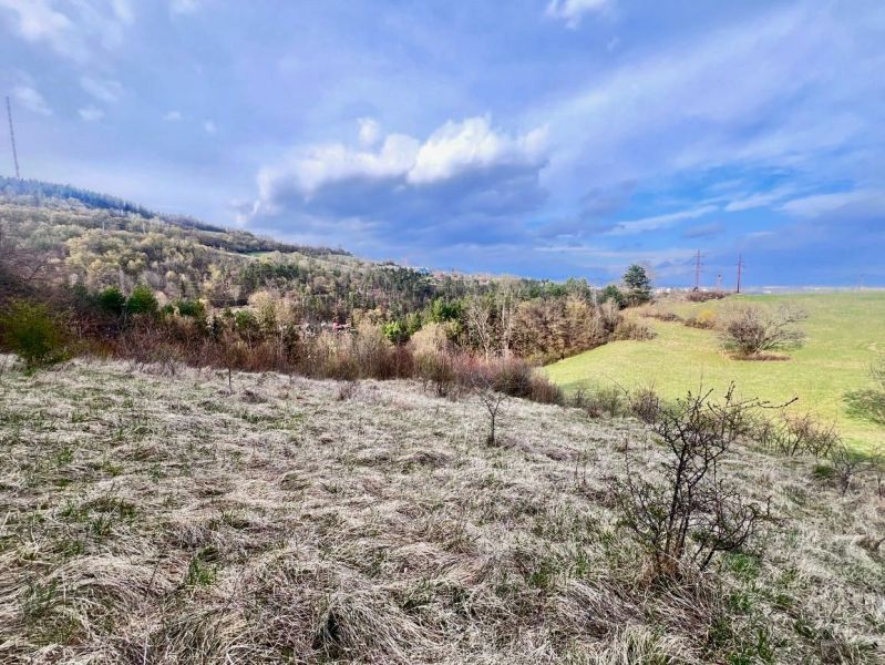 Orchards and forests around Banská Bystrica, ideal for residential plots.