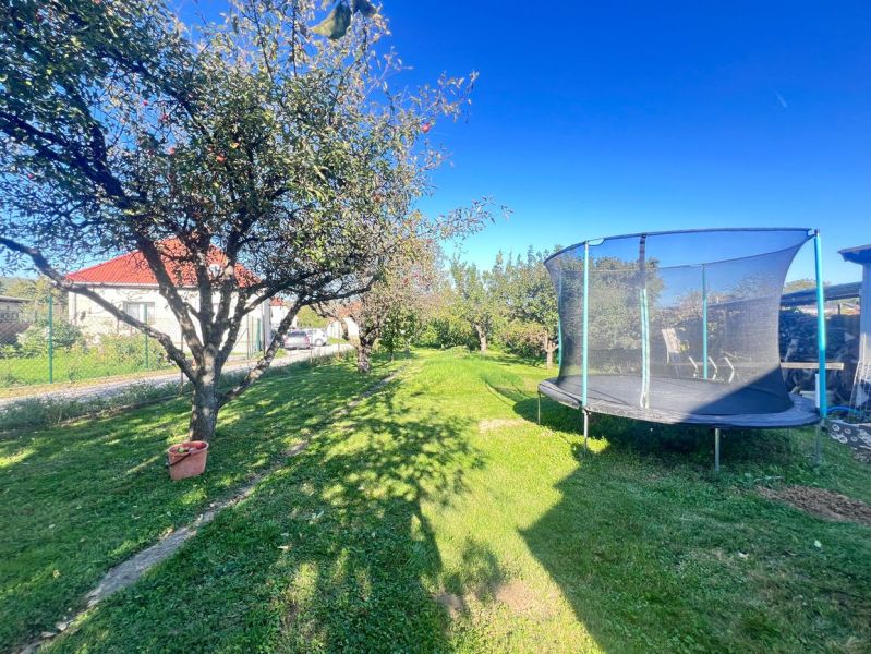 Garden in Žirany, Nitra district, Nitra region with a fruit tree and a trampoline near a family house.