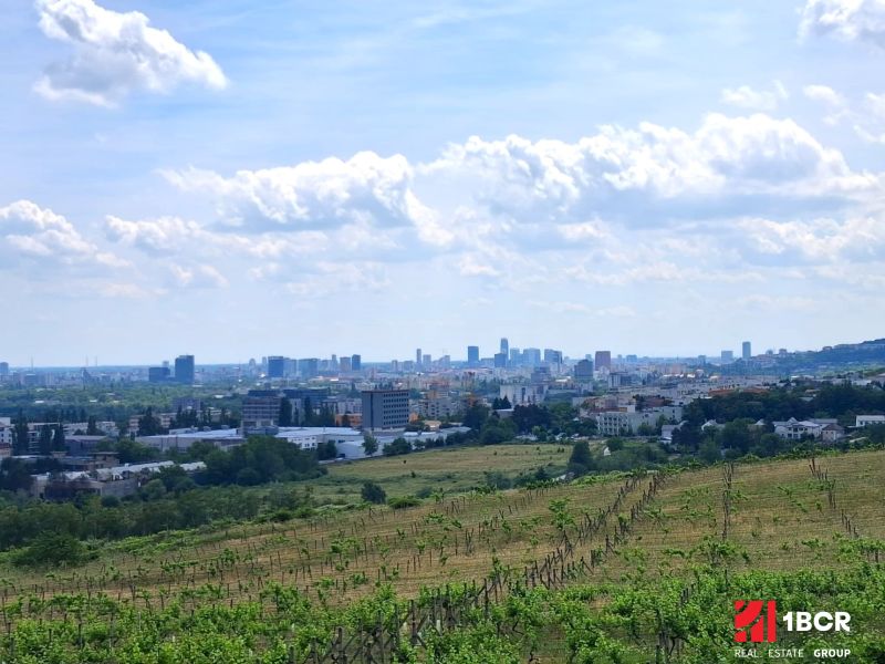 Vineyards on Vtáčikova Road in Bratislava - Rača with a panoramic view of the city.