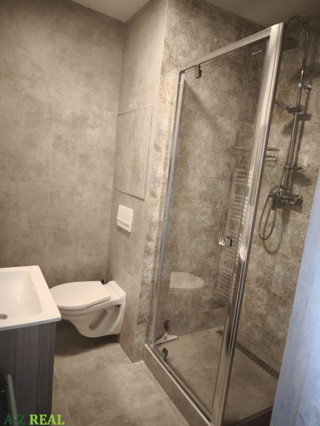 Bathroom in a 2-room apartment with a walk-in shower and toilet, all in a grey color scheme.