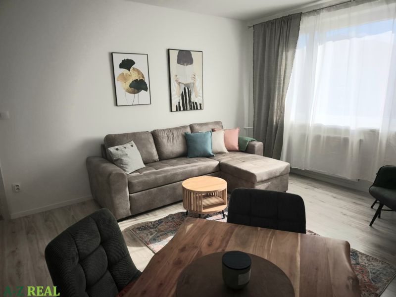 Living room in a two-room apartment with a comfortable sofa and decorations on the wall.