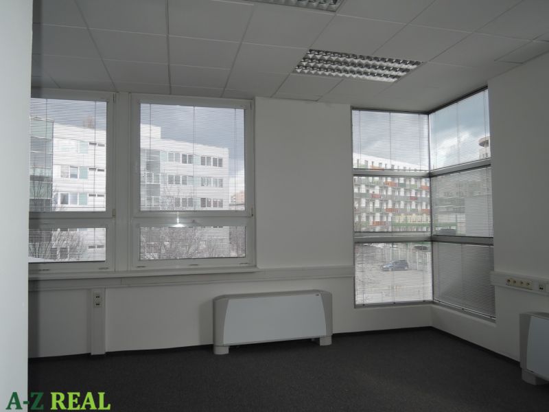 Bright office with large windows and gray carpet on the floor.