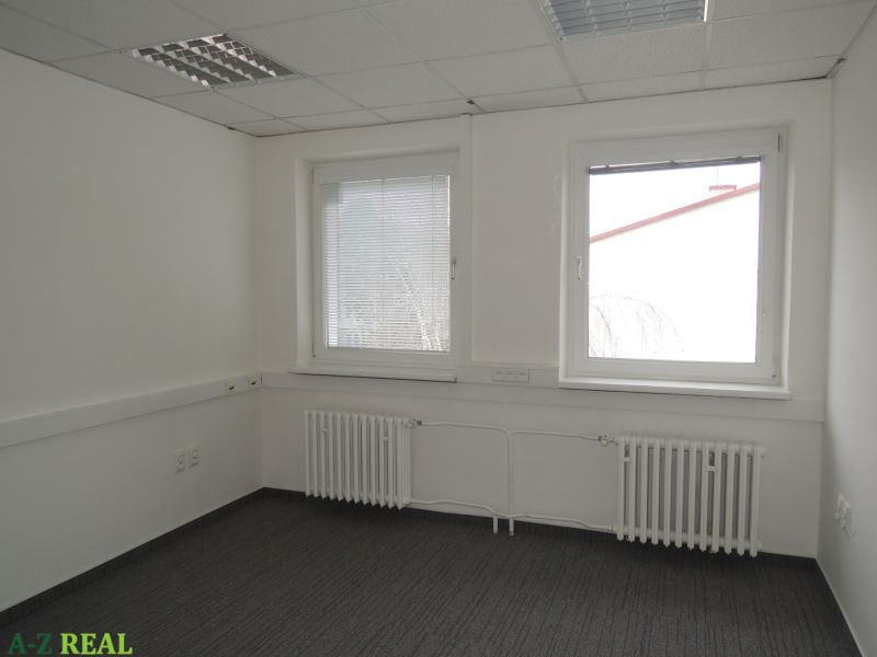 Offices with white walls, carpet, and two windows, radiators under the windows.