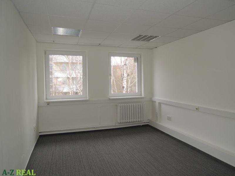 White walls, gray carpet, two windows, radiator, ceiling lighting in the office.