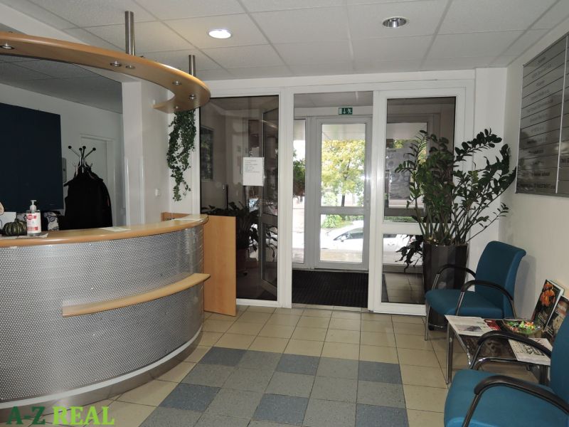 Reception with wooden decor, seating, and plants in offices.