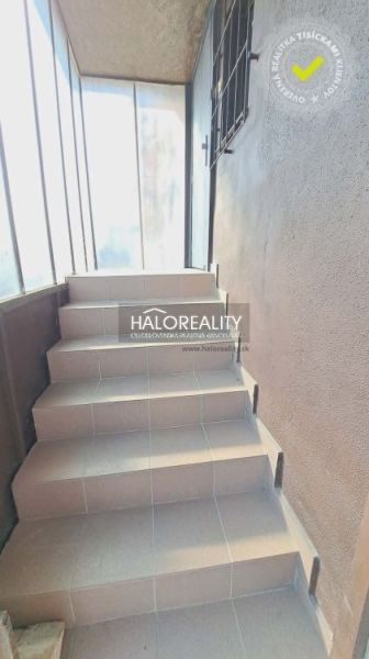 Rafters leading to the first floor in the Office, with a bright staircase.