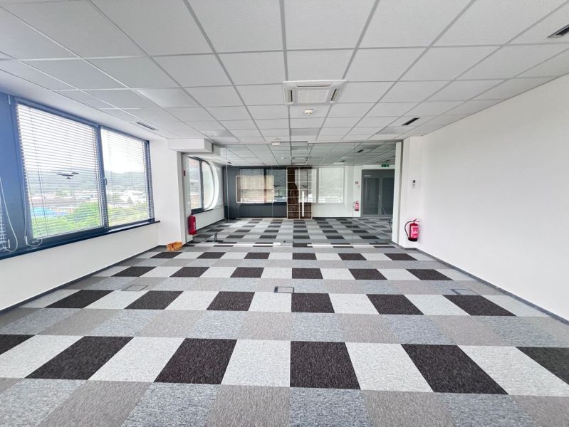 Offices with a checkered carpet and large windows letting in light.