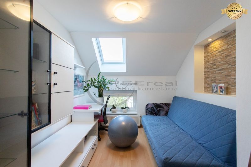 A room in a family house with a blue sofa, wood-patterned floor, and a skylight.