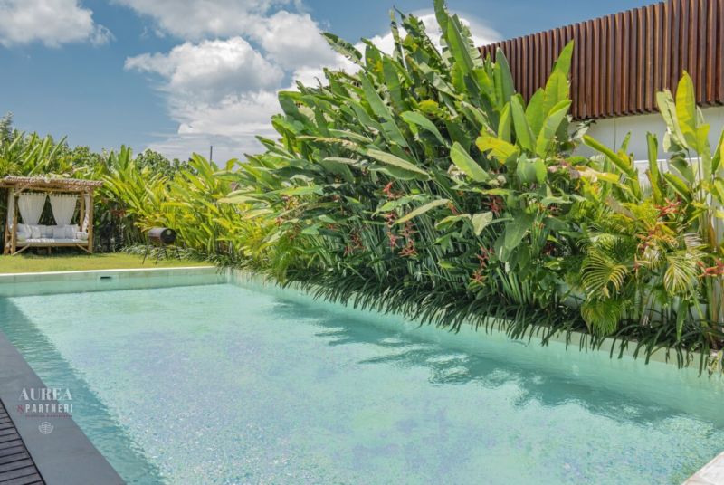 A pool and lush greenery in the garden of a villa in Bali under a clear sky.