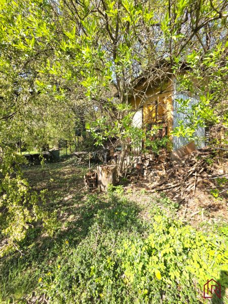 A garden in Košice - the district of Krásna on 1st May Street, surrounded by greenery and trees.