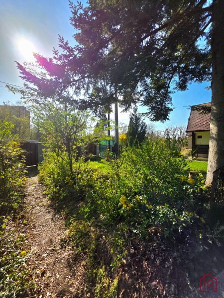 Garden on 1st May Street, Košice - Krásna district, surrounded by trees and shrubs.