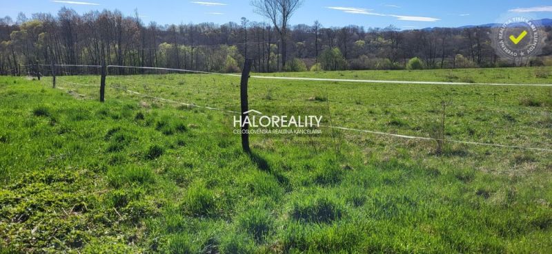 Green fields surrounded by trees in a residential area in Lutila.