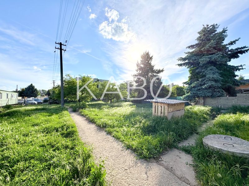 A garden with grassy paths at a family house in Šoporňa.