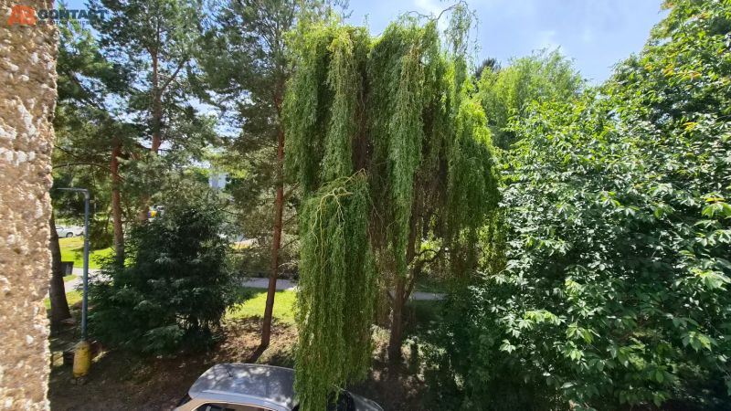 A view from the window of a 2-room apartment on J. Emanuela Street in Vrbové with greenery and a car.