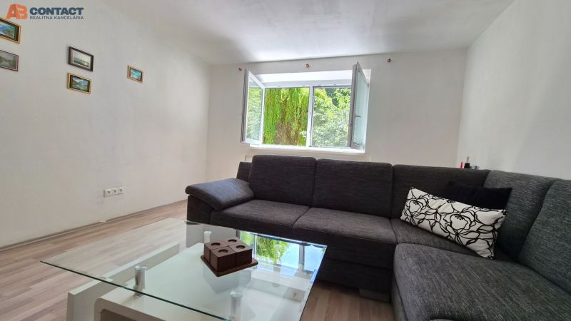 Living room with a sofa, glass table, and window in a two-room apartment, floor with wood decor.