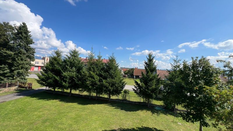 A well-maintained lawn and trees with a blue sky in Pribylina behind a 3-room apartment.