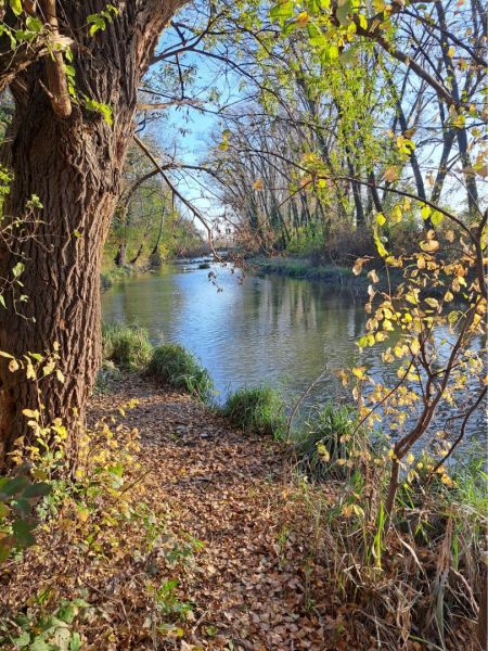 A river surrounded by autumn nature in Kráľov Brod, Residential plots.