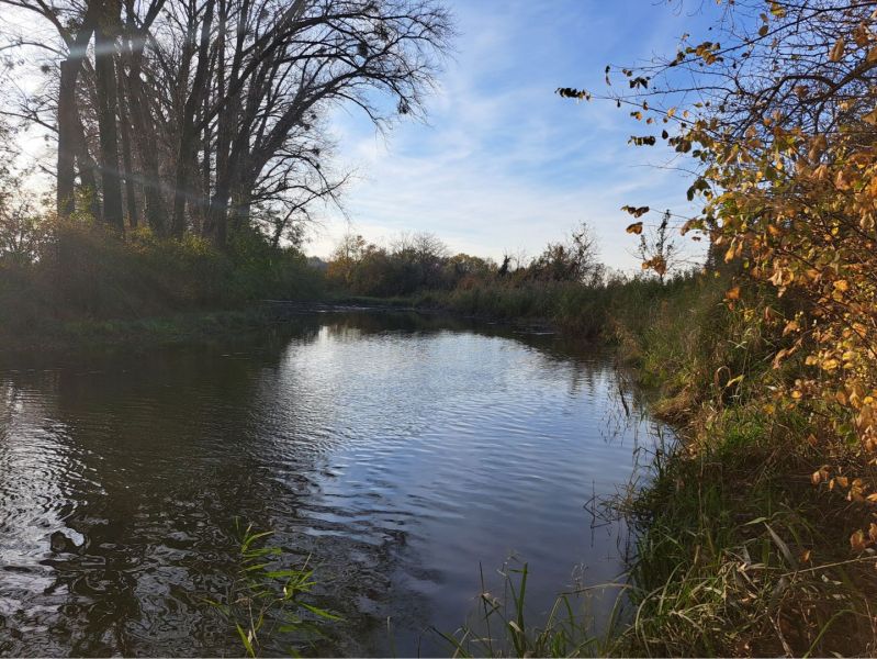 A river surrounded by trees in Kráľov Brod, an opportunity for plots - housing.