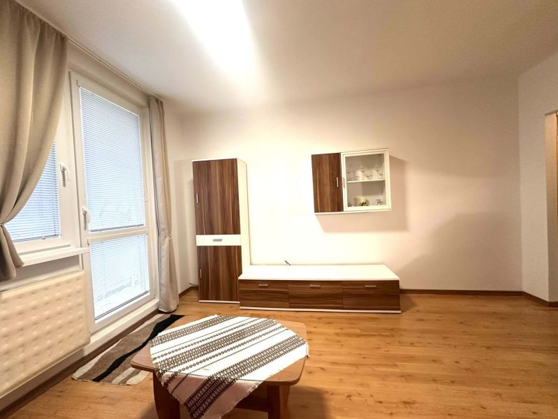 Recreational apartment with wood-patterned flooring, furniture, and a large window.