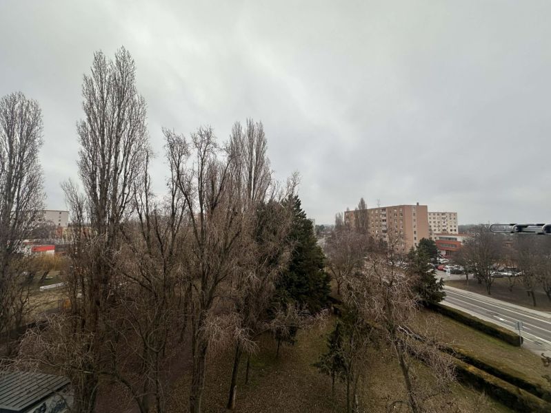 Snow-covered trees and a housing estate in Dunajská Streda, near a recreational apartment.