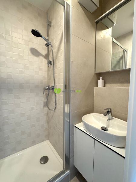 Shower corner and sink with storage space in the studio apartment bathroom.