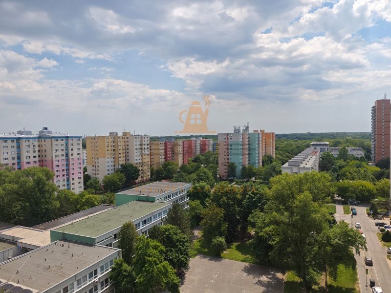 Bratislava-Petržalka, Lachova: Colorful apartment buildings surrounded by greenery and urban environment.