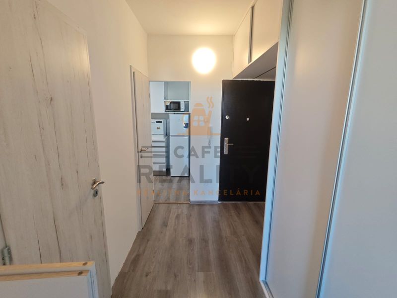 A hallway in a one-room apartment with a wood-patterned floor and a built-in wardrobe.
