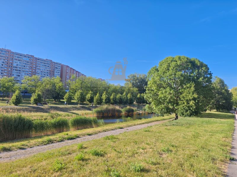 A housing estate with apartment buildings, greenery, and a sidewalk in Petržalka on Lachova.
