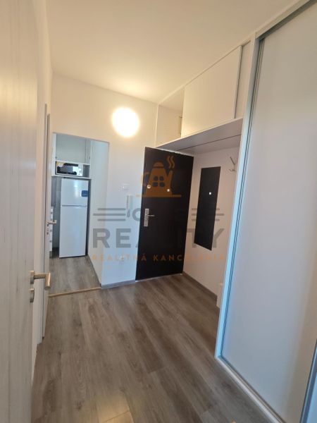 Entrance hallway with built-in wardrobes and a wood-patterned floor in a studio apartment.