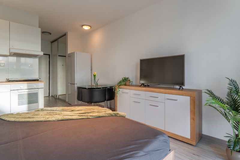 Living room in a studio apartment with a kitchenette, TV, refrigerator, and table.