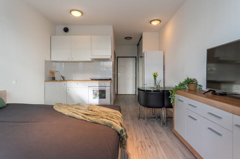 1-bedroom apartment with a kitchen, dining table, and wood-patterned flooring.