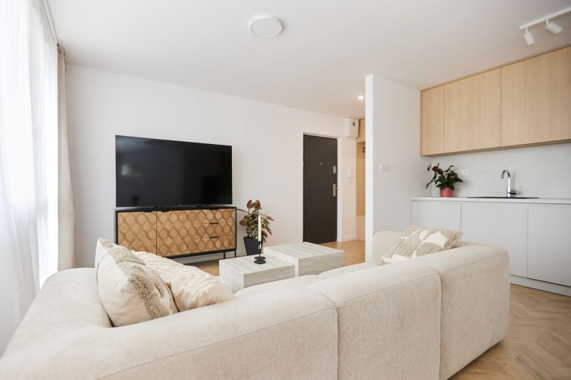 Living room in a 4-room apartment with a sofa, television, and kitchenette.