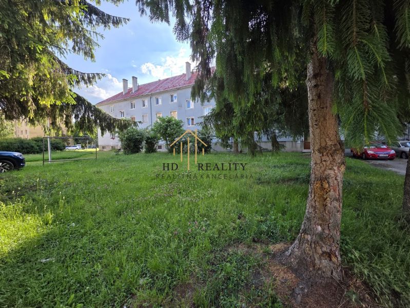 A grassy yard with coniferous trees in front of an apartment building on Golianova Street in Banská Bystrica.