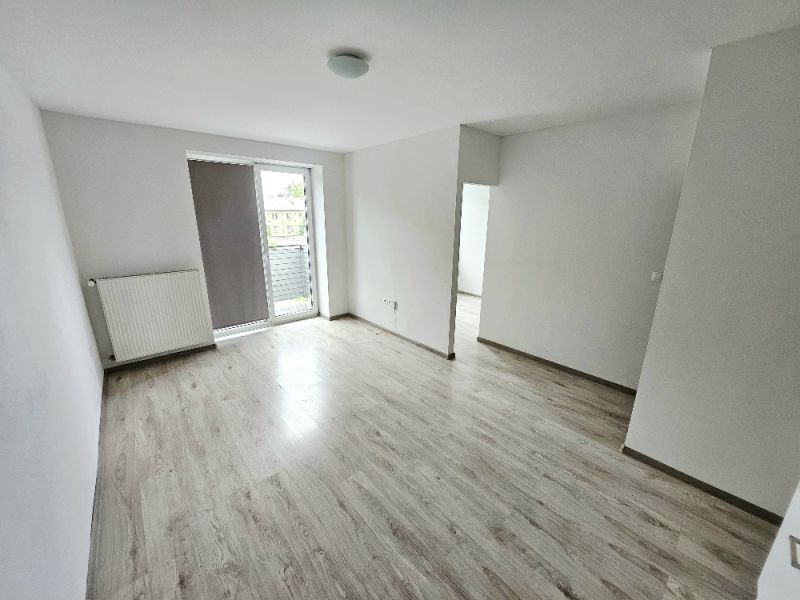 Living room with white walls and wood-decor flooring in a studio apartment.