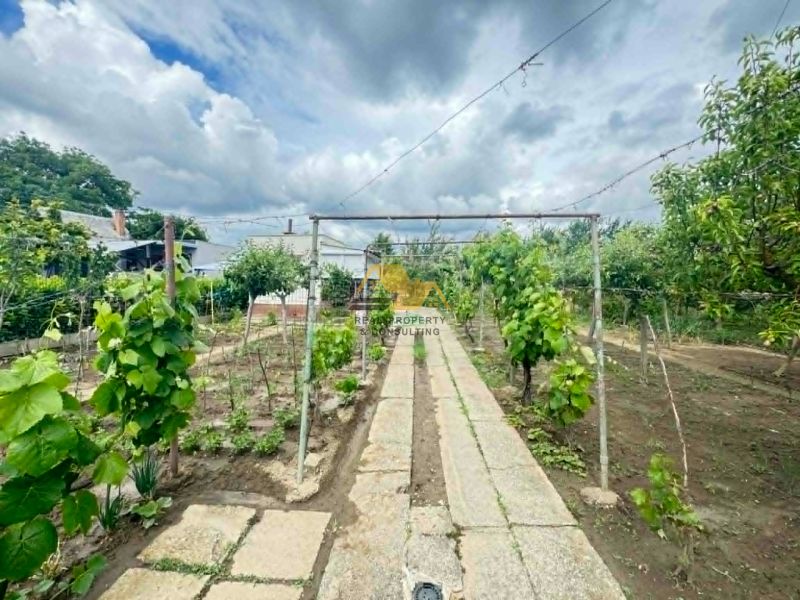 Garden at the cottage on Nové Zámky Street in Nové Zámky with a vineyard and a flowerbed.