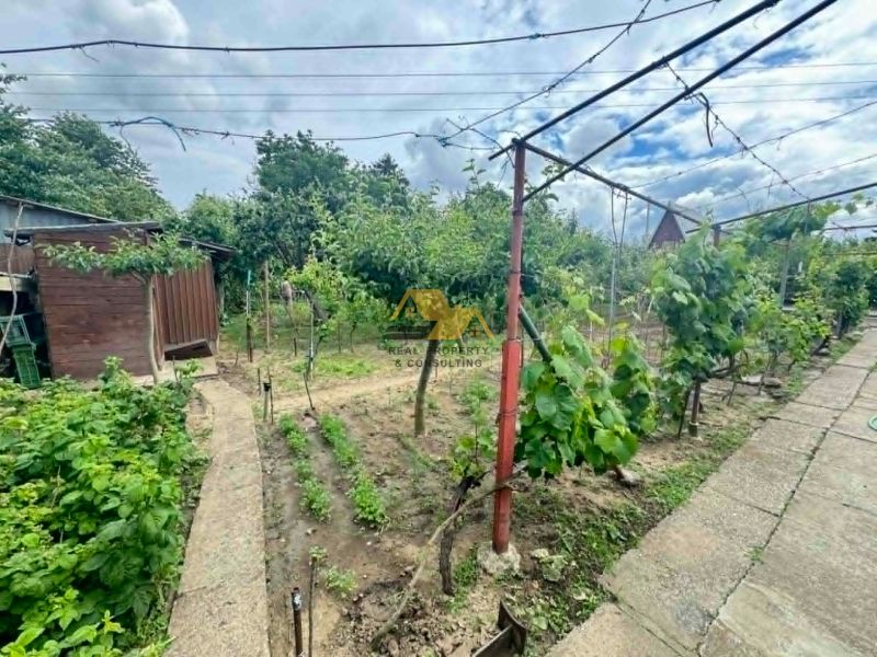 A garden by the cottage in Nové Zámky with fruit trees and a path.