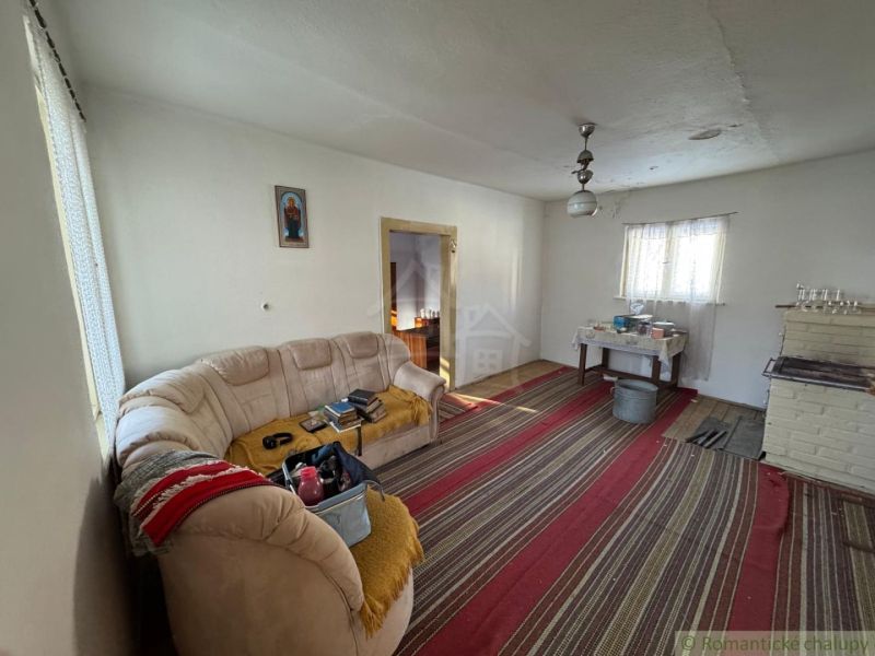 Living room in a family house with a stove, carpet, and sofa without wooden decor.