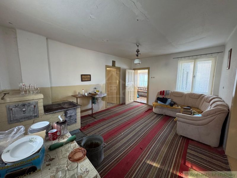Living room in a family house with carpets, a fireplace, and a sofa.