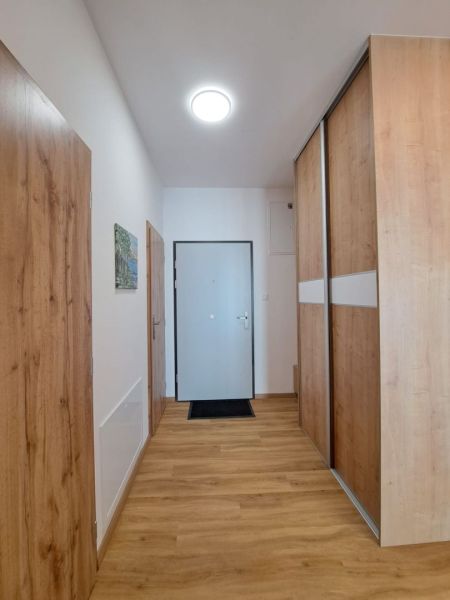 A spacious hallway with a wooden decor floor and a built-in wardrobe in a 2-room apartment.