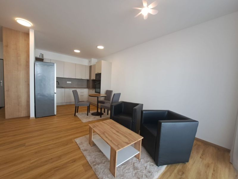 Living room in a two-room apartment with an open kitchen and a floor with a wood decor.