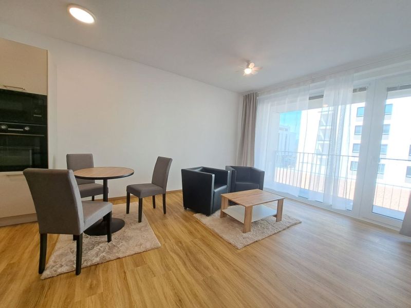 Bright living room with wood-patterned flooring in a two-room apartment.