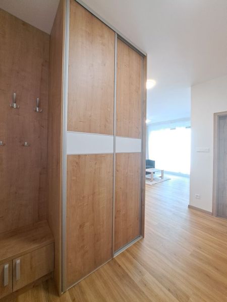 Interior with wood-patterned flooring and built-in wardrobe in a 2-room apartment.