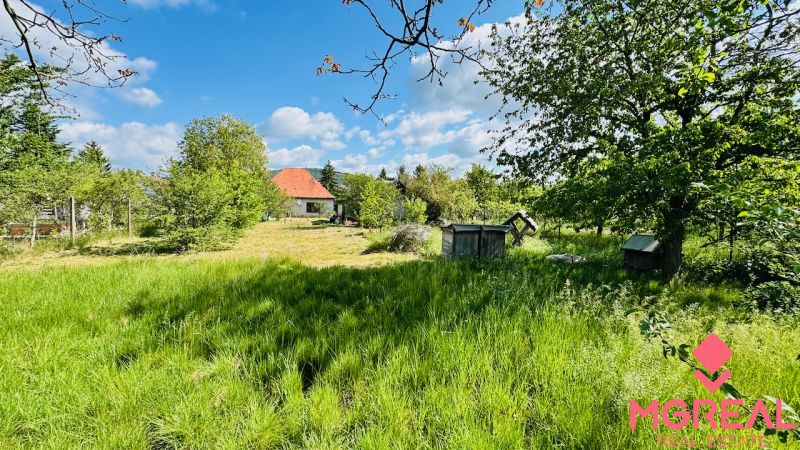 Greenery, trees, and a family house in the village of Pažiť with a blue sky in the background.